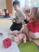 większy obrazek nr 10