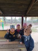 większy obrazek nr 59