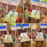 większy obrazek nr 14