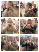 większy obrazek nr 7