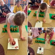 większy obrazek nr 6