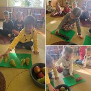 większy obrazek nr 5