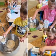 większy obrazek nr 6