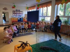 większy obrazek nr 2