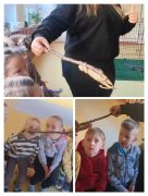 większy obrazek nr 4