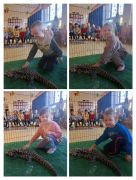 większy obrazek nr 6