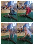 większy obrazek nr 7