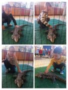 większy obrazek nr 8