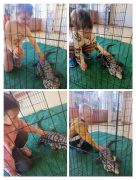 większy obrazek nr 9