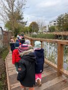 ilustracja do wpisu 
Spacer Kaczuszek nad staw 🦆