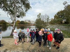 większy obrazek nr 13