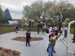 większy obrazek nr 5