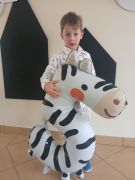 większy obrazek nr 3