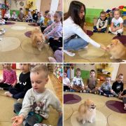 większy obrazek nr 2