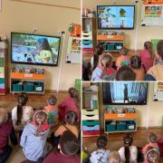 większy obrazek nr 6