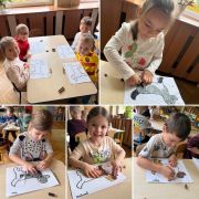 większy obrazek nr 9