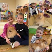 większy obrazek nr 10