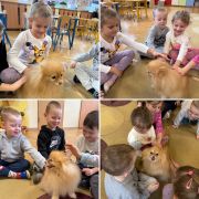 większy obrazek nr 11