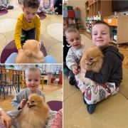 większy obrazek nr 12