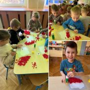 większy obrazek nr 1