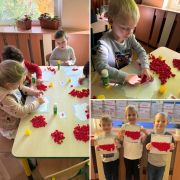 większy obrazek nr 5