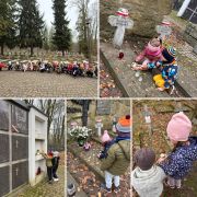 większy obrazek nr 5