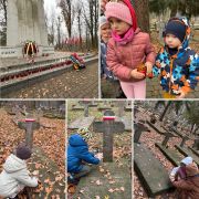 większy obrazek nr 6