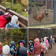 większy obrazek nr 2