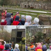 większy obrazek nr 4