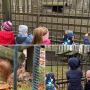 większy obrazek nr 5