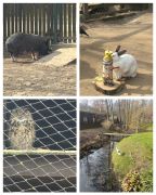 większy obrazek nr 2