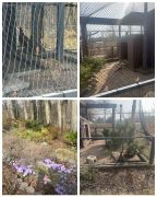 większy obrazek nr 3