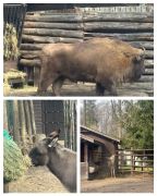 większy obrazek nr 4