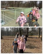 większy obrazek nr 6