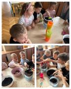 większy obrazek nr 3