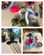 większy obrazek nr 6