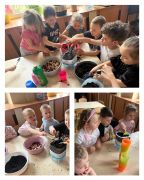 większy obrazek nr 9