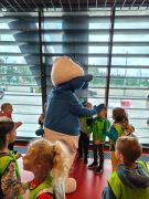 większy obrazek nr 85