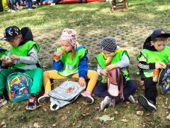 większy obrazek nr 128