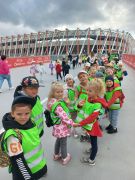 większy obrazek nr 2