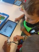 większy obrazek nr 19