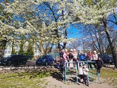 większy obrazek nr 5