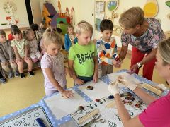 większy obrazek nr 21