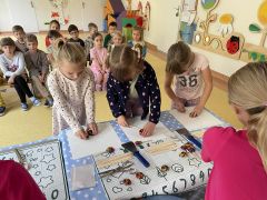 większy obrazek nr 25