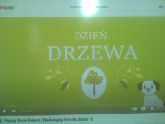 większy obrazek nr 12