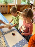 większy obrazek nr 24