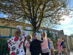 ilustracja do wpisu 
Szukamy jesieni - spacer