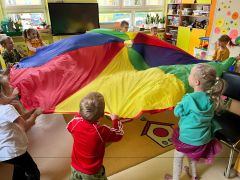 większy obrazek nr 40