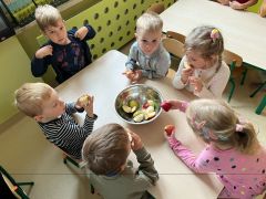 większy obrazek nr 12