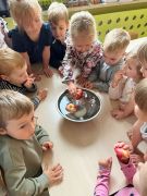 większy obrazek nr 16